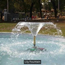 lily fountain